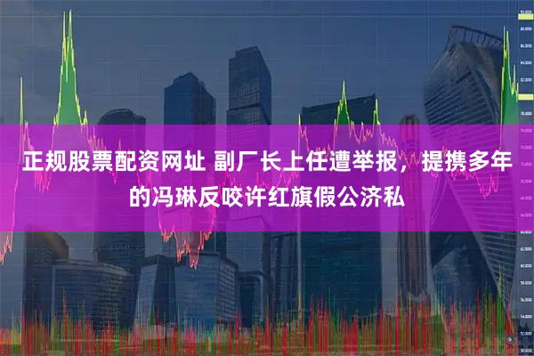 正规股票配资网址 副厂长上任遭举报，提携多年的冯琳反咬许红旗假公济私